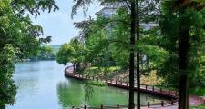 武汉魅力独具，休闲佳选众多，东湖更是赏自然风光首选之地