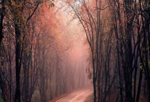 武汉活力无限休闲资源多，探寻特色美食之旅