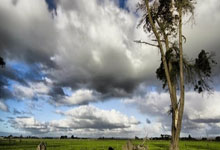 武汉休闲体验：休闲场所多样，美食融合其中