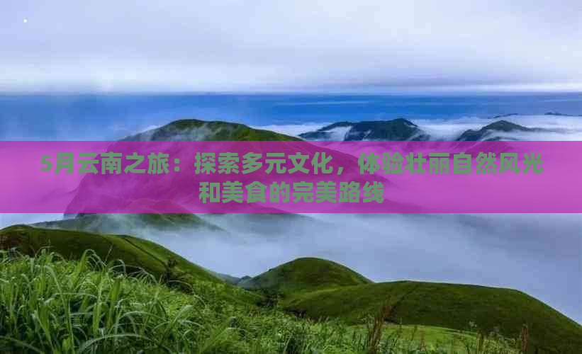 武汉：魅力之城，休闲胜地，公园漫步与美食之旅的完美结合