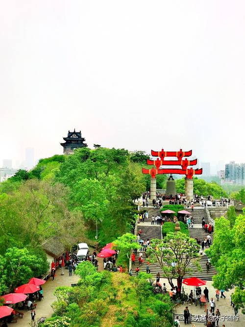 武汉休闲景点推荐：探访黄鹤楼与东湖绿道，感受历史与自然的魅力