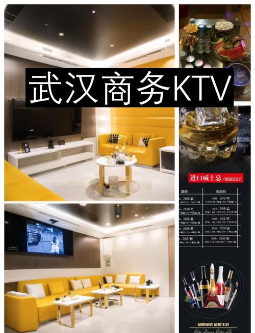 武汉夜网.27_武汉夜网什么价格_武汉夜