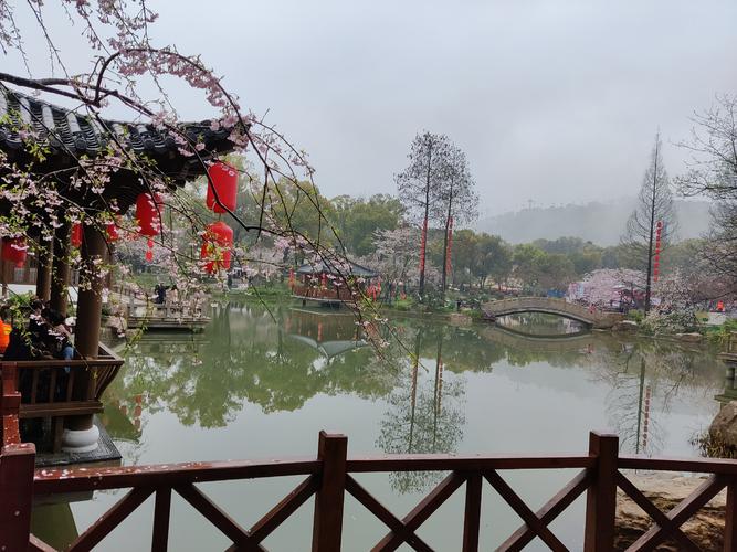 武汉魅力之城：东湖风景区——休闲好去处及周边精彩探秘