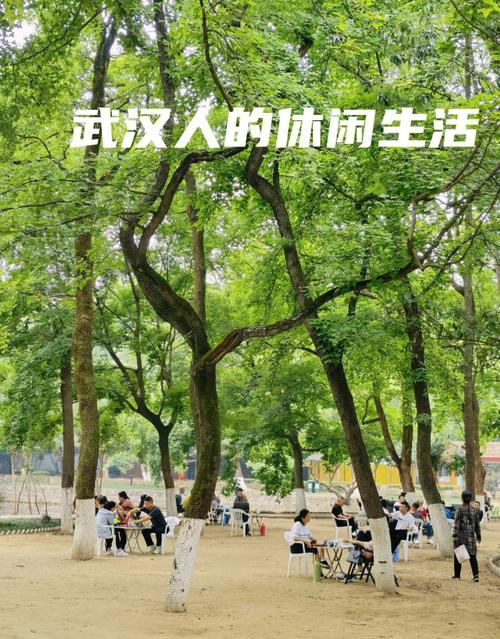 武汉休闲消费指南：从免费公园漫步到高档会所体验，价格差异大揭秘