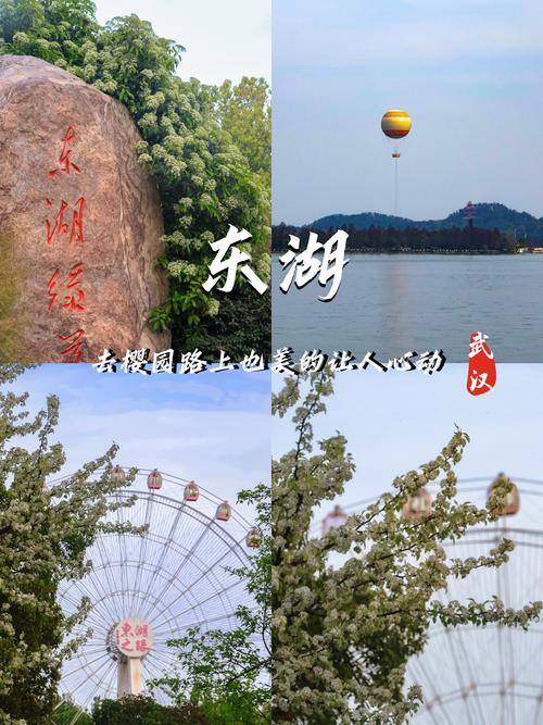漫步武汉东湖，领略自然之美，感受别样休闲风情