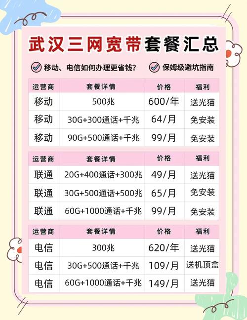 武汉夜网什么价格_武汉夜027_武汉夜网.27
