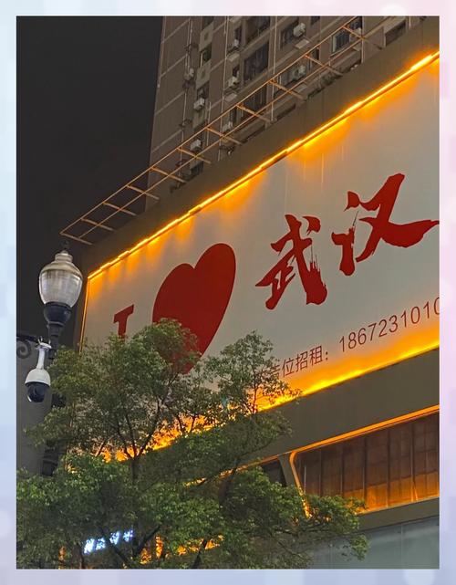 武汉特色夜网_武汉夜网推荐_武汉夜网最高性价比